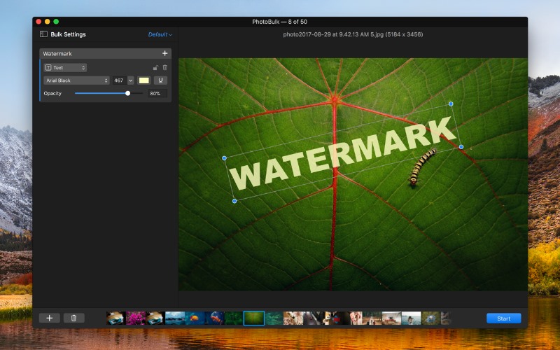 easy way to mass watermark images mac