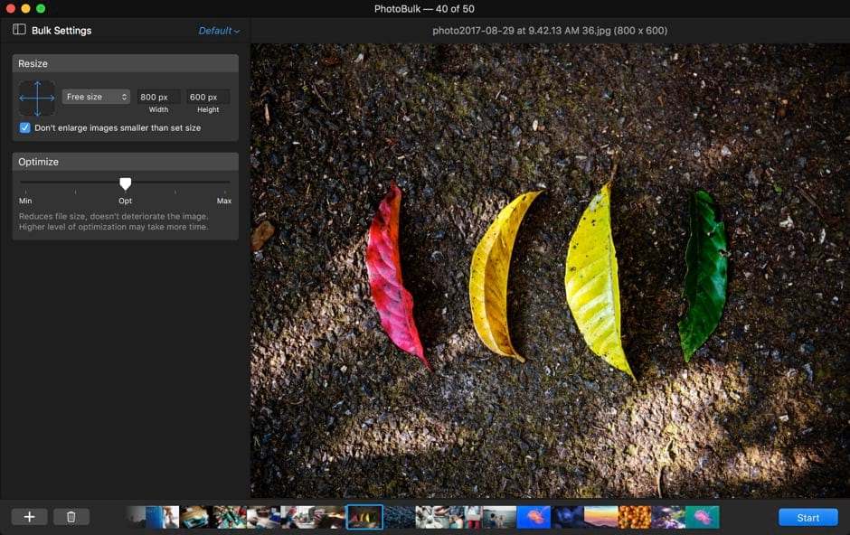 download the new version for mac Light Image Resizer 6.1.8.0