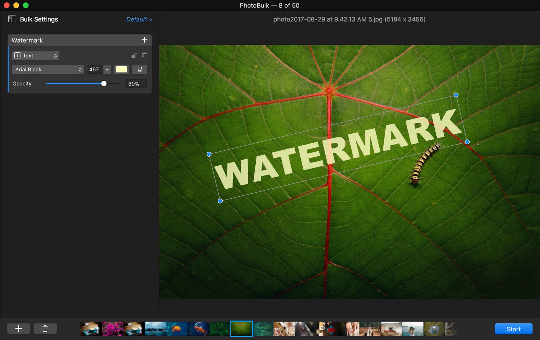 watermark tool for mac
